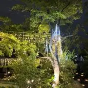 キンモクセイの画像