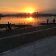 花清の画像