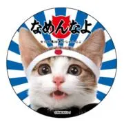なめ猫の画像