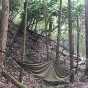 承太郎の画像