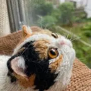 りおの画像