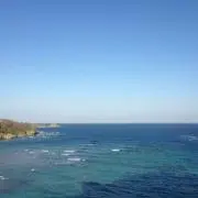 はな☆
