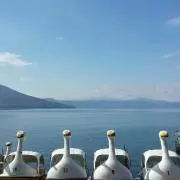 SAKAの画像