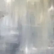 かの画像