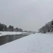 たわわの画像