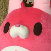 クナギサの画像