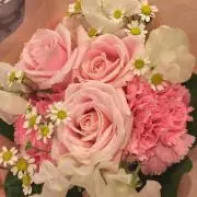 a.aの画像