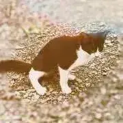 Rikoセール中☆の画像
