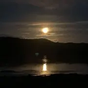ダッチ