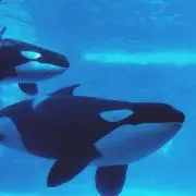 anの画像
