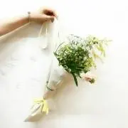 Lequmocoの画像
