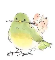 メジロの画像