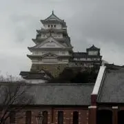 タク