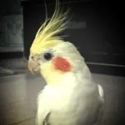 なっちゃん