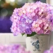 ♡eme♡プロフ必読