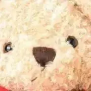 ごまの画像