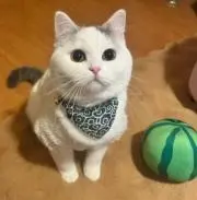 D上野の画像