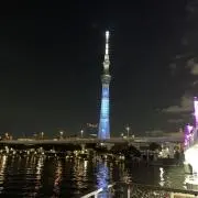 鯨木の画像