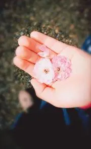 みんと_おはじきの画像