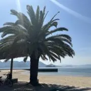 hmの画像
