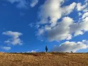 irohaの画像