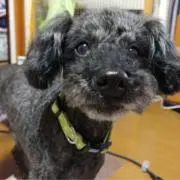 RENの画像