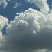 てんこ