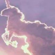 ユニ子