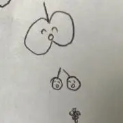 お子様ランチの画像