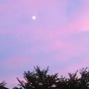 starry sky☆の画像