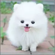 たろ