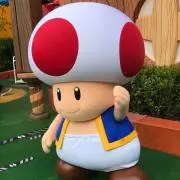 小豆の画像