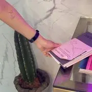 ララの画像