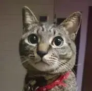 リリ♡♪の画像