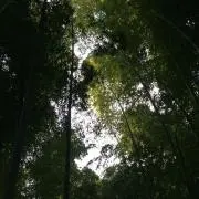 jgamtpの画像