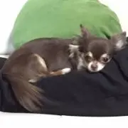リールの画像