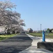 PAOの画像