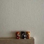 namaehanaiyoの画像