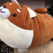 マルヤマ