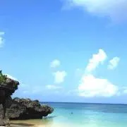 natsu。の画像
