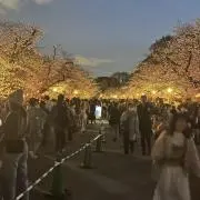 夏抹茶の画像