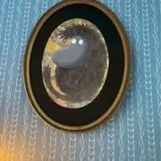 MOKの画像