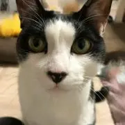 ゆうゆ