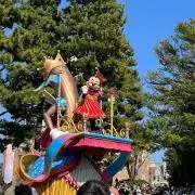 るかの画像
