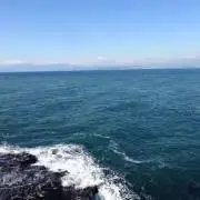 みっちーの画像