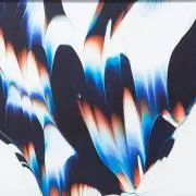 ベニヤの画像