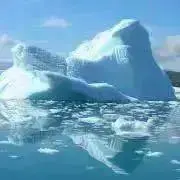 どらみの画像
