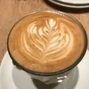 yuccaの画像