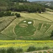 walnutsの画像