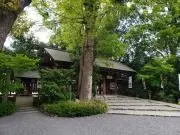 achanの画像